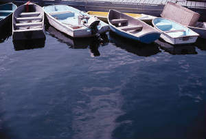 Boatsbythedock.jpg
