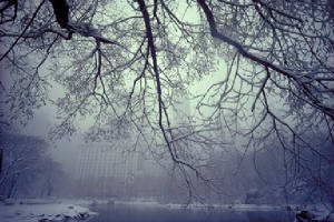 CentralParkSnow.jpg
