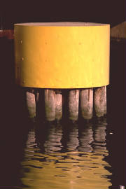 YellowFender.JPG