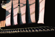 blinds.jpg